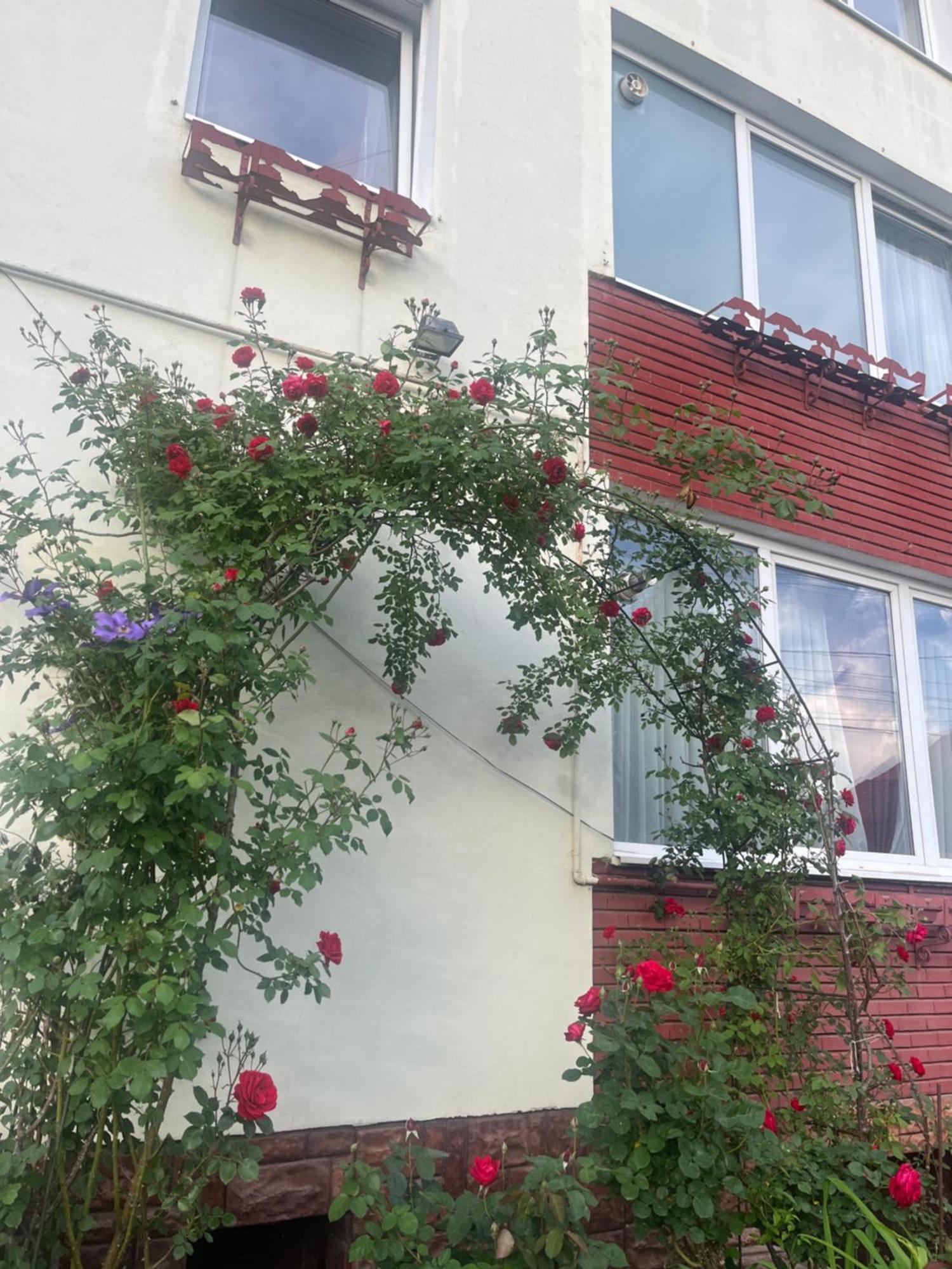 Casa Conti Hotel Sibiu Exterior photo